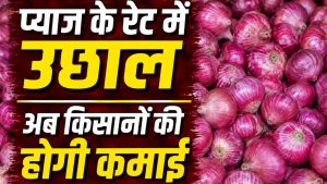 किसानों को राहत, लासलगांव मंडी में 2000 रुपये क्विंटल के पार पहुंचा प्याज.. अब रिटेल में बढ़ेंगी कीमतें