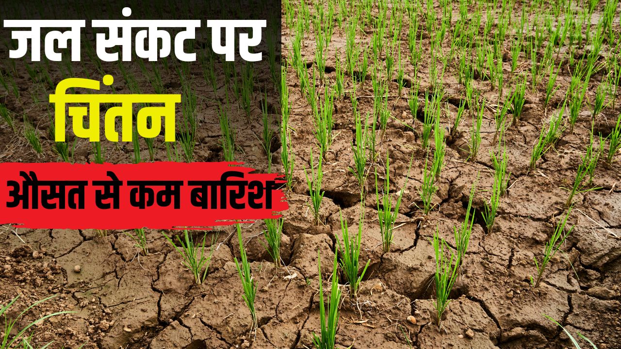 Punjab Monsoon Update El Nino Impact Groundwater Level Falling Alert Issued