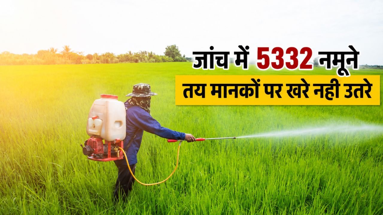 Rajasthan News 535 Farmers Have Died From Exposure To Pesticides