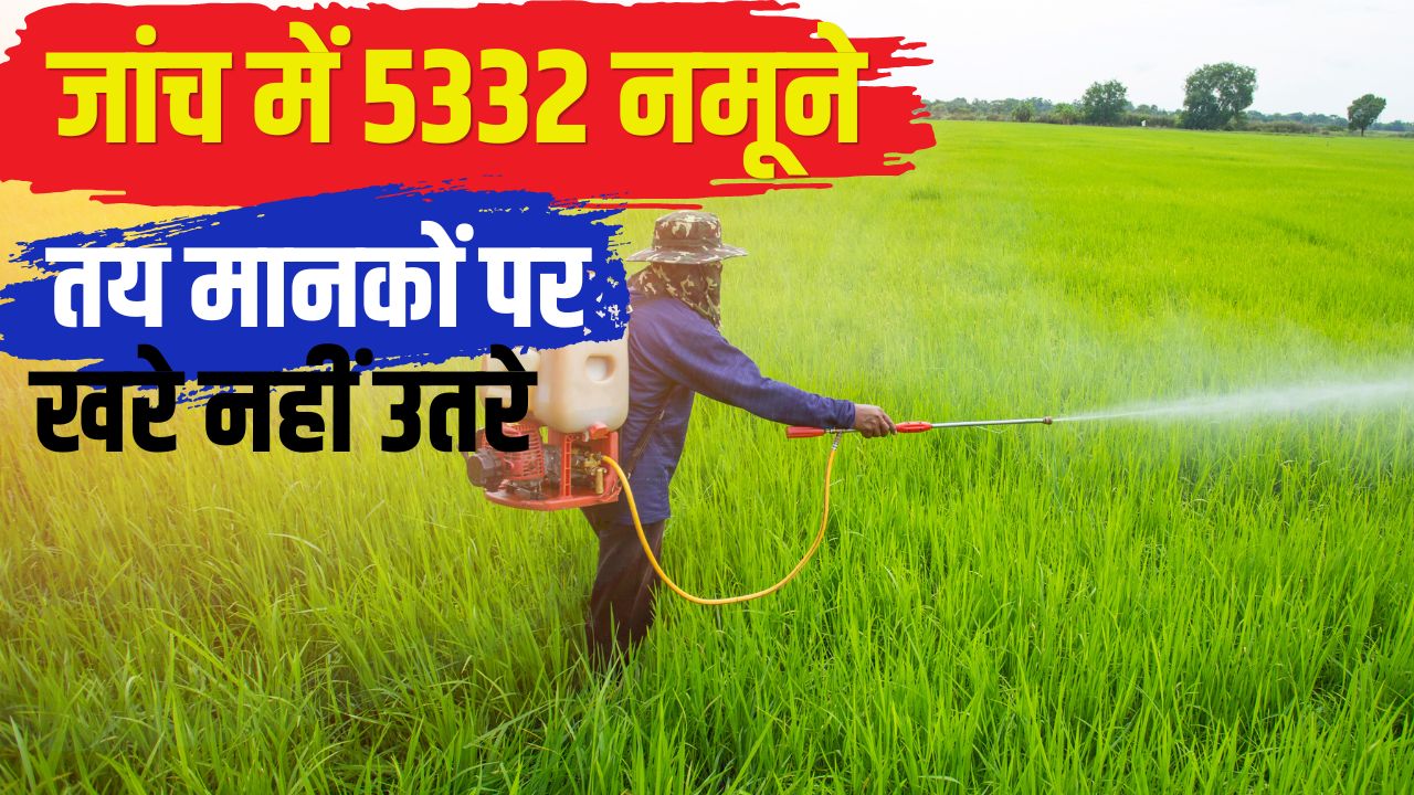 Rajasthan News 535 Farmers Have Died From Exposure To Pesticides