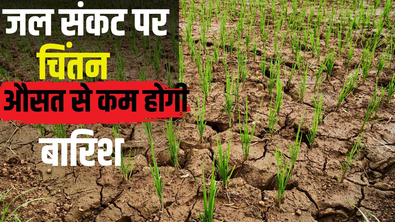 Punjab Monsoon Update El Nino Impact Groundwater Level Falling Alert Issued