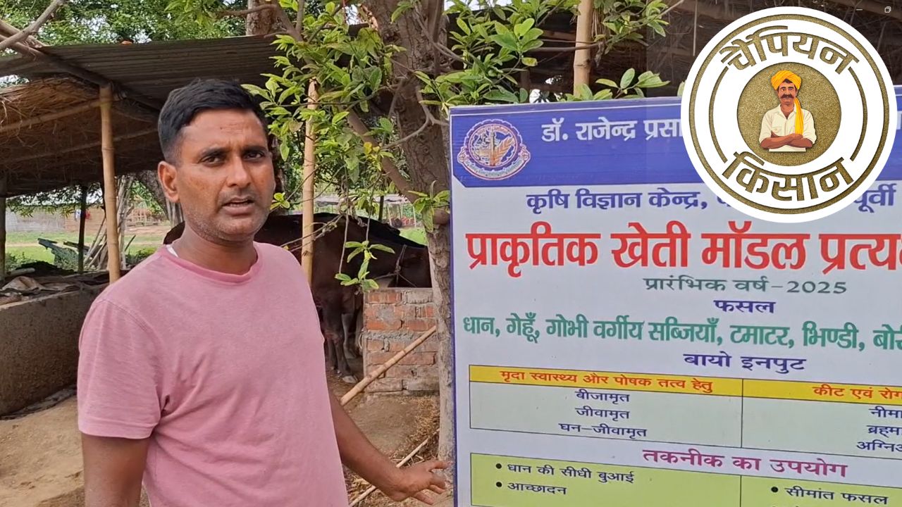 Bihar Ex Army Soldier Rajesh Yadav Developed Successful Model Of Natural Farming People Are Flocking To Learn His Farming Techniques
