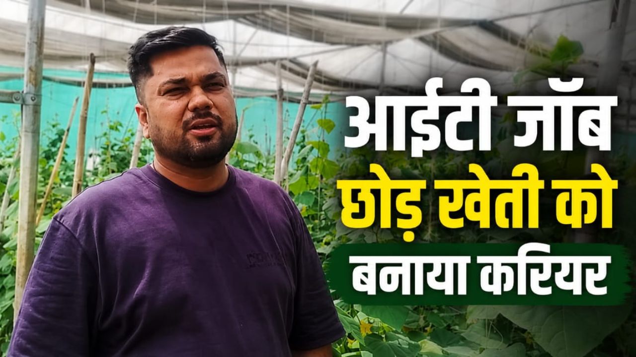 Shivendra Singh Sengar From Jabalpur Mp Quit It Job To Venture Into Farming Earning Profit Of Rs 4 Lakh Every Season Through Net House Farming