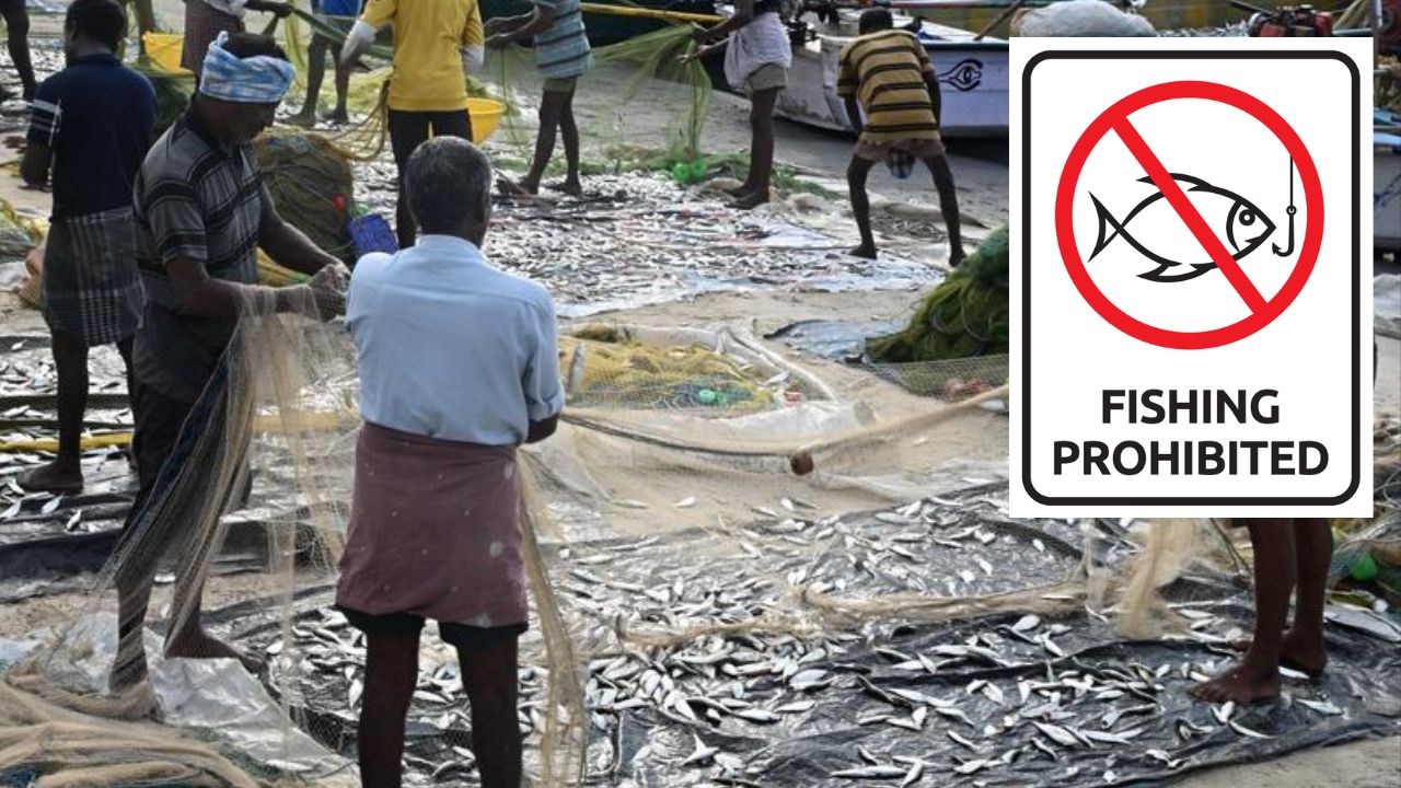 Mp Govt Bans Fishing Till 15th August Closed Season Dates Announced And Violating Rules Leads To Jail