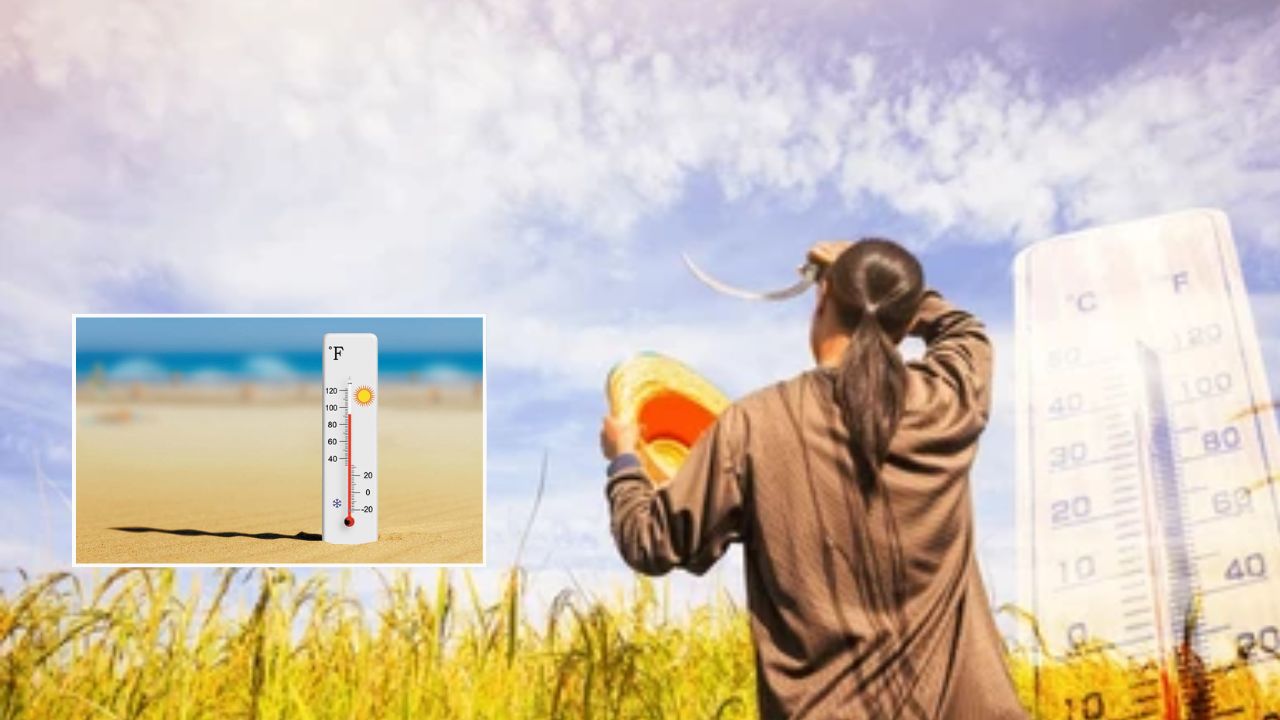 Heat Stress Rising Warning Heat Humidity Of India Monsoon Could Extend Summer Heat Stress As Climate Warms Study