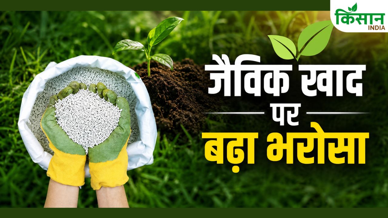 Farmers Shift To Organic Fertilizers From Chemical Fertilizer Govt Data Record 253 Surge In Purchases