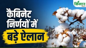 सरकार ने मंडी टैक्स बढ़ाया.. कपास शुल्क घटाने की घोषणा, भूमि अधिग्रहण पर 4 गुना मुआवजे को मंजूरी सरकार ने मंडी टैक्स बढ़ाया.. कपास शुल्क घटाने की घोषणा, भूमि अधिग्रहण पर 4 गुना मुआवजे को मंजूरी