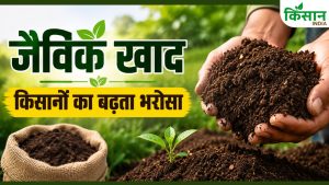 जैविक खाद इस्तेमाल करने में पंजाब सबसे आगे.. यूपी के किसान भी पीछे नहीं, देखें राज्यों की सूची जैविक खाद इस्तेमाल करने में पंजाब सबसे आगे.. यूपी के किसान भी पीछे नहीं, देखें राज्यों की सूची