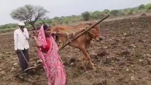 बैल की मौत के बाद खुद हल खींच रही महिला किसान को मिली सरकारी मदद, वीडियो वायरल हुआ तो जागा प्रशासन