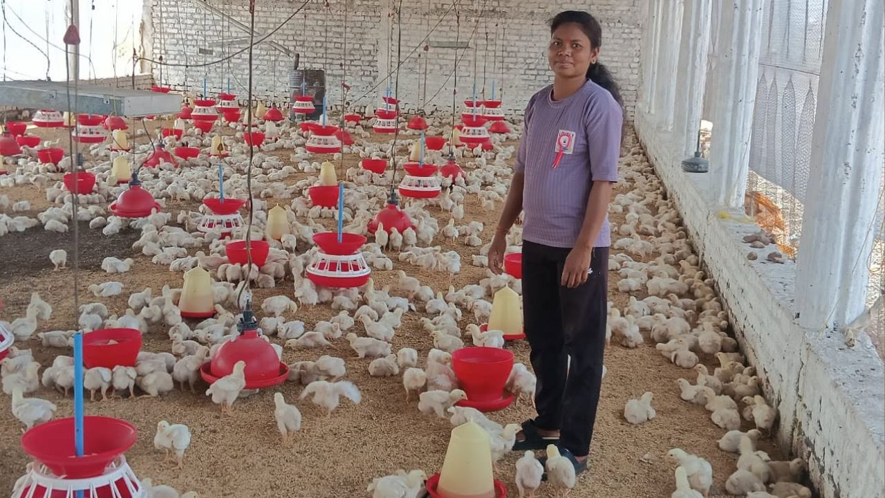 Parvati Deepika And Muskaan From Jabalpur Transformed Their Financial Fortunes By Starting Poultry Farm They Received Lakhpati Didi Samman