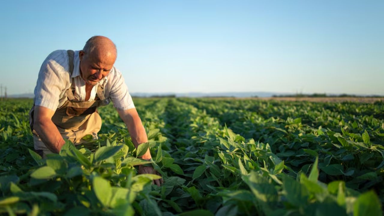 Farmers Wont Face Hardship Even In Times Of War Traditional Farming Is The Need Of The Hour Read Opinion