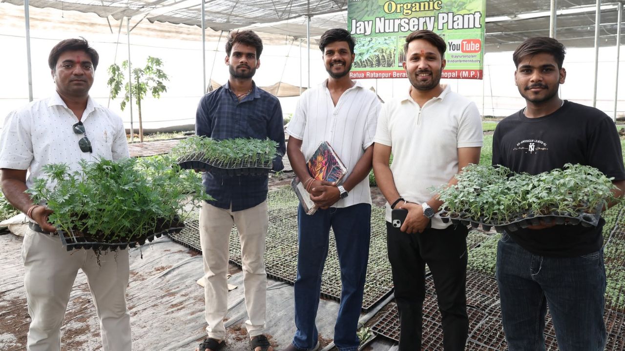 Nikhil Kushwah 25 Year Old Bhopal Resident Earning Profit Of Rs 3 5 Lakh By Selling Over 8 Lakh Vegetable Plants Every Month In Jay Nursery Plant
