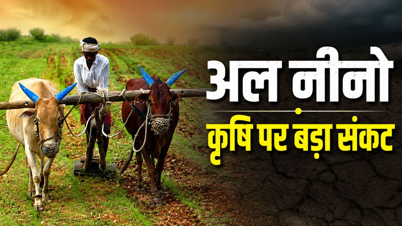 Maharashtra Directives Issued To Halt Kharif Crop Sowing Due To Drought Conditions Farmers To Adopt Emergency Crop Models