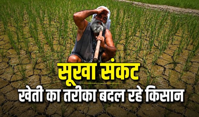 अल नीनो के डर से किसान धान की खेती का तरीका बदल रहे, कम पानी लागत वाली विधियां अपनाईं
