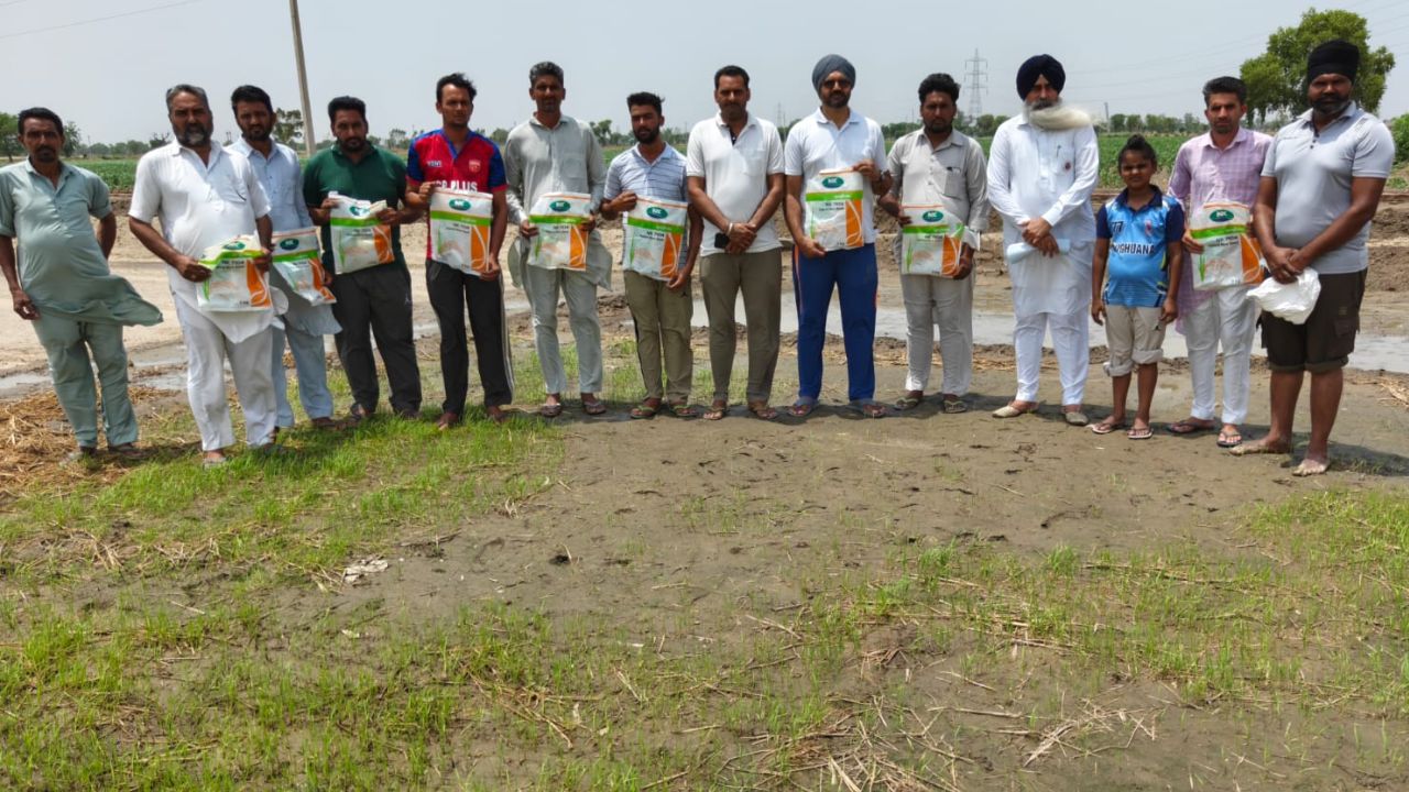 Haryana Farmers Alleges Syngenta Hybrid Paddy Seeds Fail To Germinate Across Several Acres In Sirsa