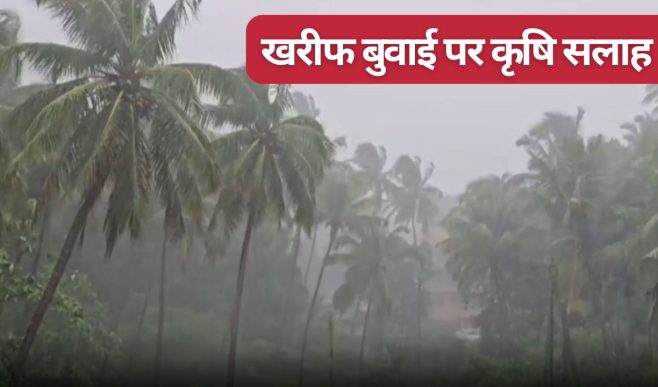 मॉनसून का कहर.. कई इलाकों में भूस्खलन और पेड़ गिरे, फसल बुवाई के लिए किसानों को एडवाइजरी   