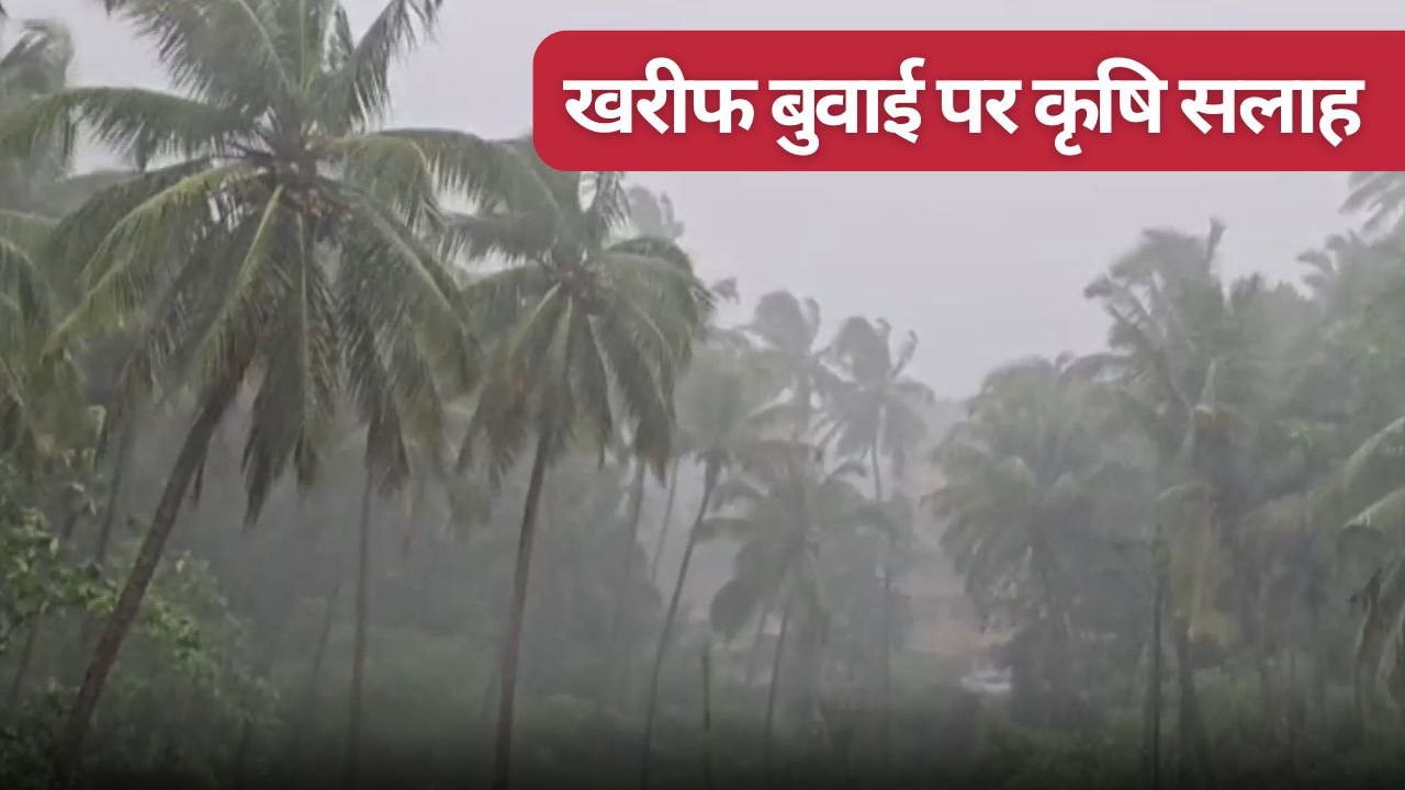 Monsoon Wreaks Havoc In Maharashtra With Landslides And Fallen Trees In Several Areas Advisories Issued To Farmers Regarding Kharif Crop Sowing