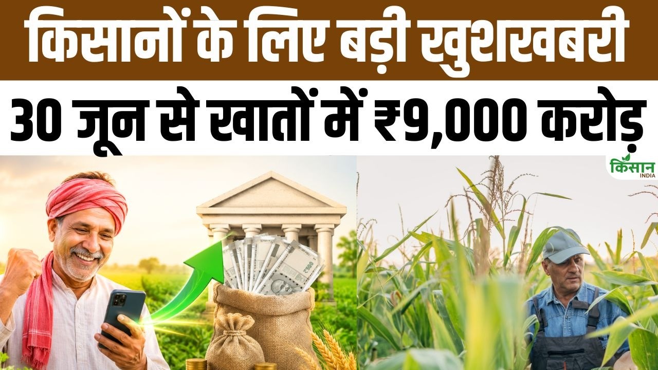 Great News For Farmers 9000 Crore Credited To Accounts Starting June 30 Under Rythu Bharosa Scheme