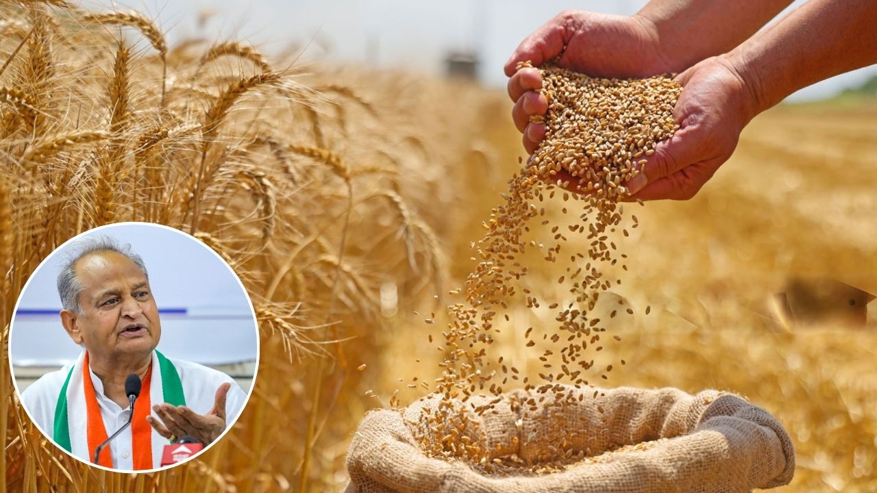 Rajasthan Wheat Procurement Ashok Gehlot Demands Wheat Procurement June 30
