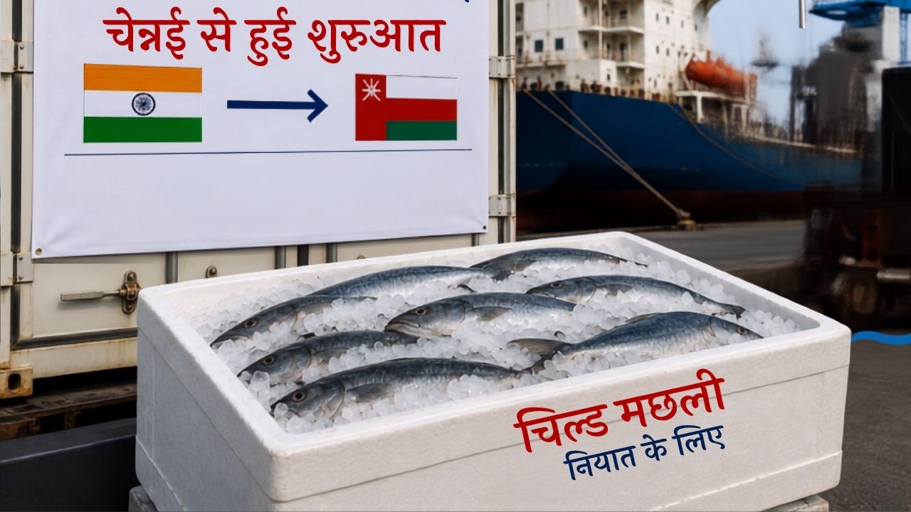 India Oman Cepa First Chilled Fish Consignment Exported From Chennai Seafood Export Industry Tamil Nadu Benefits
