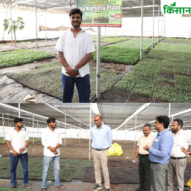 jay-nursery-plant