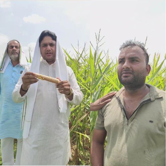 Maize farmer protest in mathura