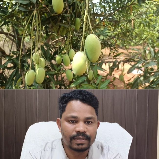 Grafting Mango and dragon fruit farming in chhattisgarh