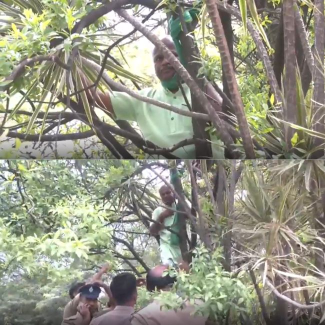 Karnataka sandalwood farmer attempts suicide