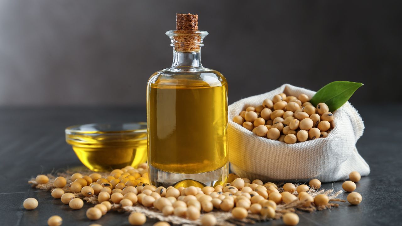 India Soybean Oil Imports Surges In May Edible Oil Inflows Up 13 Percent So Far In 2025 26 Oil Year