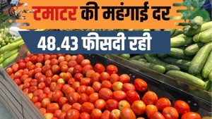 टमाटर, अदरक ने तेलंगाना में बढ़ाई महंगाई, 6.15 फीसदी रहा इन्फ्लेशन रेट.. बिगड़ा किचन का बजट टमाटर, अदरक ने तेलंगाना में बढ़ाई महंगाई, 6.15 फीसदी रहा इन्फ्लेशन रेट.. बिगड़ा किचन का बजट