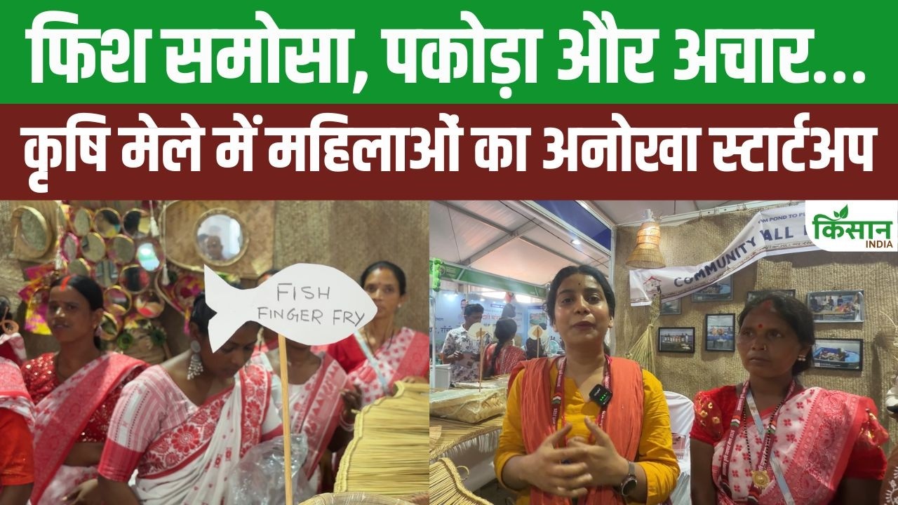 Women Startup Shines With Fish Samosas And Pickles Becomes Highlight Ranchi Agriculture Fair