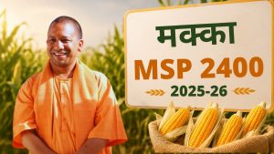 योगी सरकार का बड़ा ऐलान! 2400 रुपये MSP पर होगी मक्का की खरीद, 15 जून से खुलेंगे खरीद केंद्र योगी सरकार का बड़ा ऐलान! 2400 रुपये MSP पर होगी मक्का की खरीद, 15 जून से खुलेंगे खरीद केंद्र