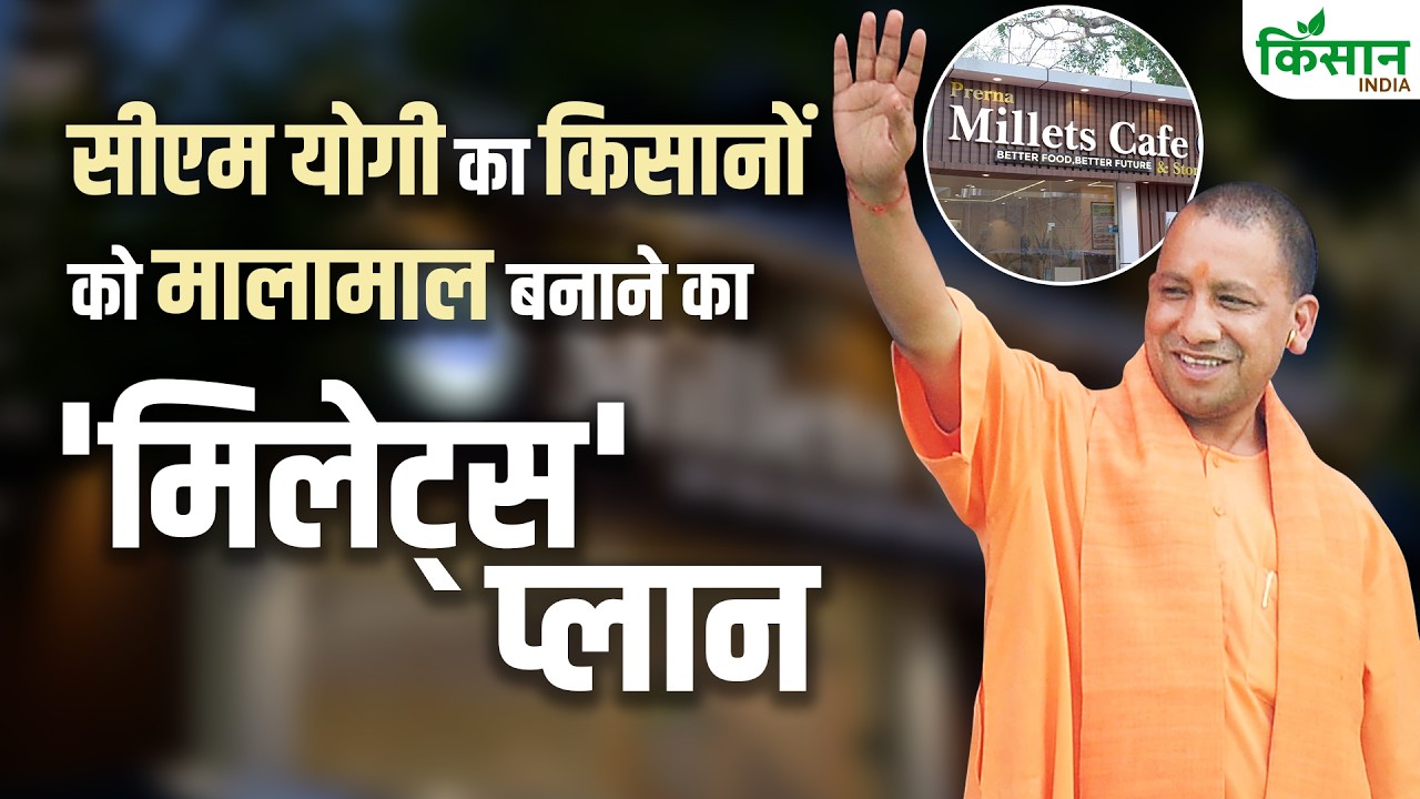 Cm Yogi Major Master Plan Millets Cafe Boost Demand For Coarse Grains And Double Farmers Income