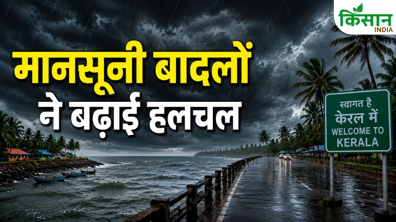 Monsoon Reaches Kerala Doorstep Heavy Rain Alert For Next 4 Days