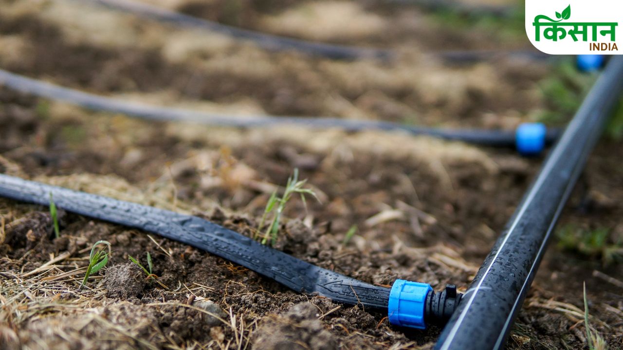 Reduce Irrigation Costs With Drip And Sprinkler Technology Get Government Subsidy