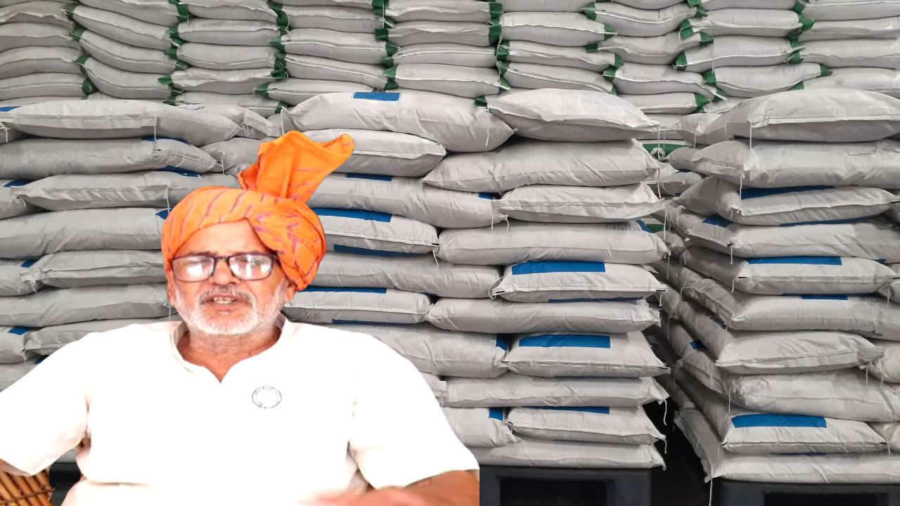 Dhaincha Green Manure Improves Soil Fertility And Reduces Urea Use