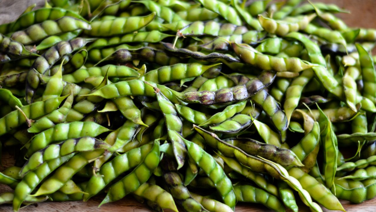 Arhar Sowing Tips Control Nematodes And Crop Diseases Before Planting