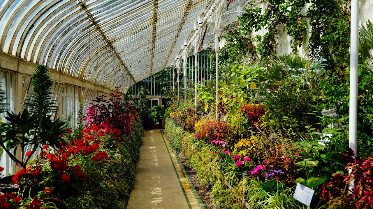 Nhb Support Brings New Change In Horticulture Farmers Get Better Prices And Facilities