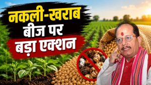 खराब बीज बेचने वाली कंपनियों पर कसेगा शिकंजा, कृषि मंत्री ने 31 नई सीड लैब बनाने को मंजूरी दी खराब बीज बेचने वाली कंपनियों पर कसेगा शिकंजा, कृषि मंत्री ने 31 नई सीड लैब बनाने को मंजूरी दी