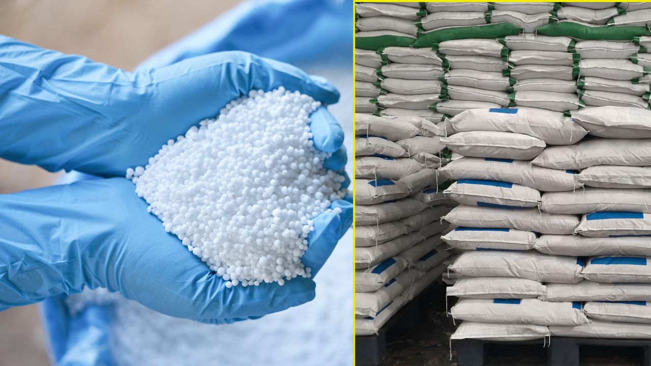 Urea Supply Tender Urea Rate Fall 17 Lakh Tonnes Urea Import Tender Boost Supply