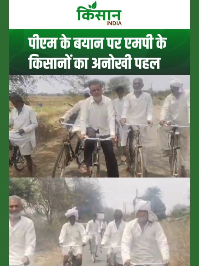 महंगाई बनाम किसान : जब डीजल हुआ महंगा, खेतों में लौट आया बैल-हल!