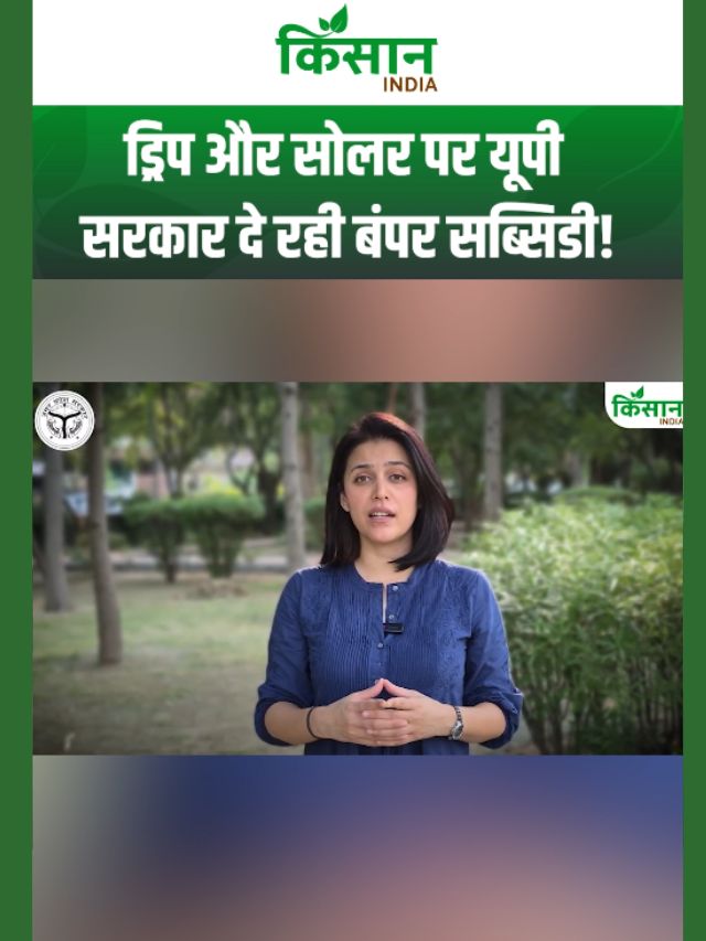 ड्रिप इरिगेशन और सोलर पर उत्तर प्रदेश सरकार किसानों को दे रही है बंपर सब्सिडी!