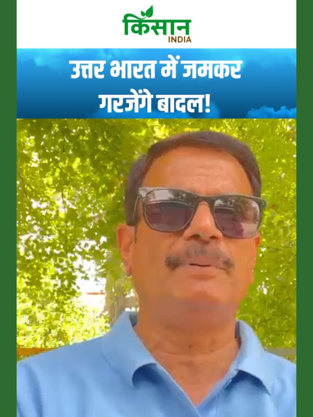 मौसम ने ली करवट, दक्षिण से उत्तर तक बरसात का बड़ा सिस्टम एक्टिव!