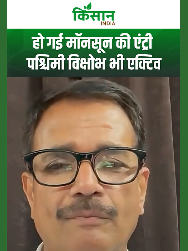 तबाही मचाने आ रहा है मॉनसून! मूसलाधार बारिश और समंदर का तांडव