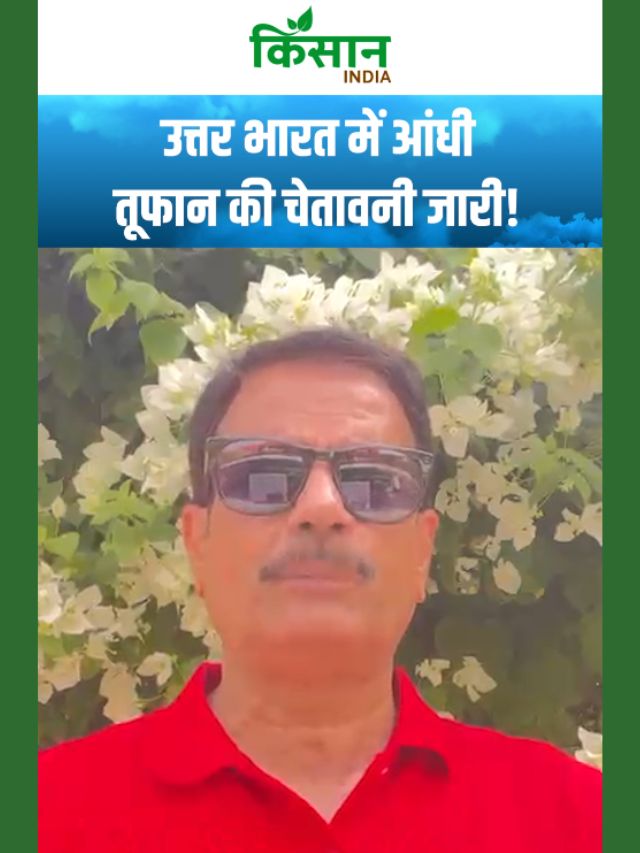 भारत के कई राज्यों में Western Disturbance एक्टिव, उत्तर भारत में आंधी-तूफान की चेतावनी जारी!