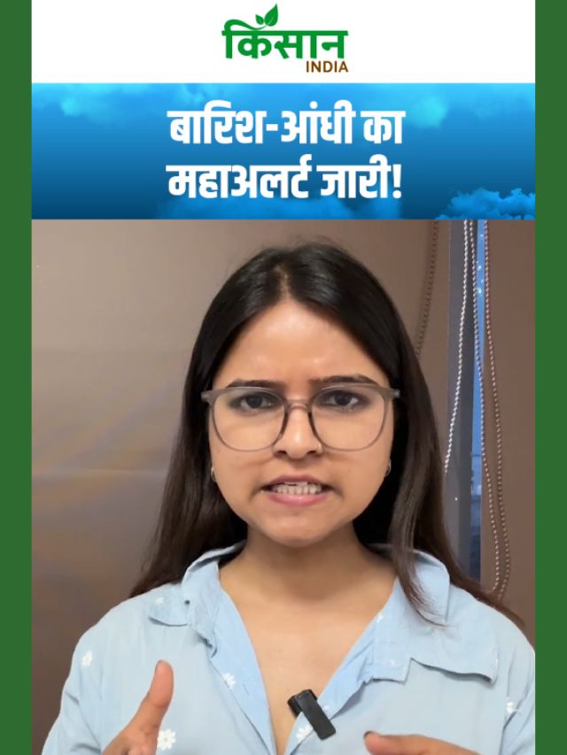 मौसम का महाअलर्ट: अगले 10 घंटे में 15 राज्यों में भारी बारिश, आंधी और तूफान का खतरा