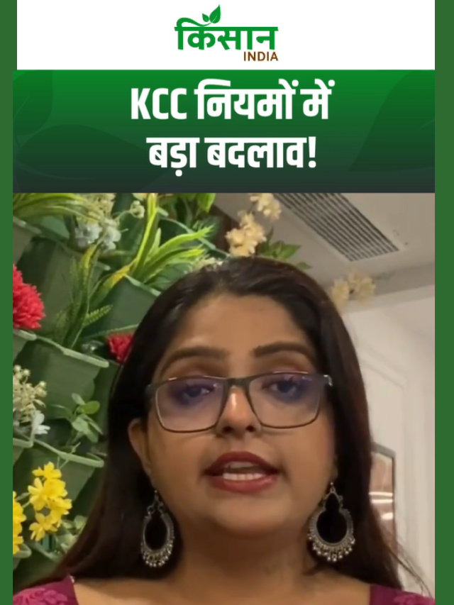 KCC नियमों में रातों-रात हुआ बदलाव! अब गन्ने की खेती पर सीधे मिलेगा ₹1 लाख लोन