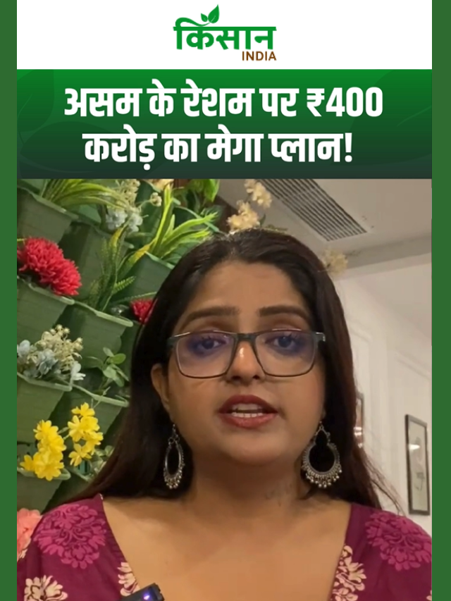 असम का 'सुनहरा' सिल्क बनेगा ग्लोबल ब्रांड!