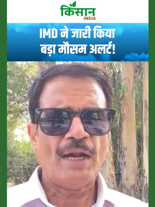 अगले 24 घंटे भारी, IMD ने जारी किया बड़ा मौसम अलर्ट, बहुत भारी बारिश की चेतावनी!