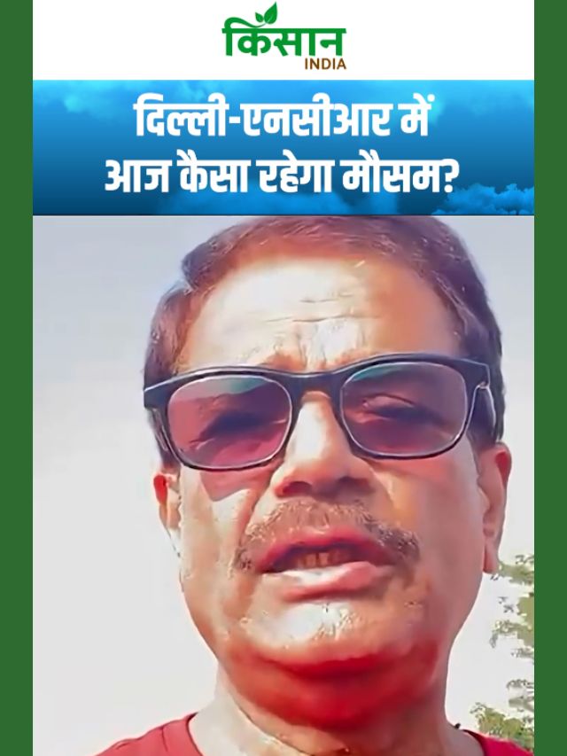 अगले 48 घंटे महा-खतरा! दिल्ली-एनसीआर में आसमान से गिरेगी बिजली, IMD का बड़ा अलर्ट